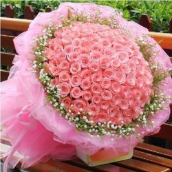 Romantic Pink Roses Brooch